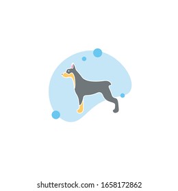 doberman dog vector flat illustration icon