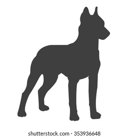 Doberman dog vector illustration
