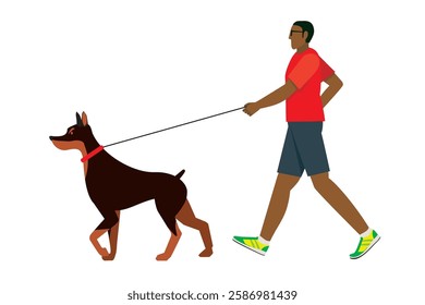 Doberman, dog walking, simple illustration of a walking black man Flat design.