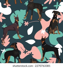 Doberman dog wallpaper with leaves, palms, flowers, plants. Pastel green, pink, navy. Holiday abstract natural shapes. Seamless floral background with dogs, repeatable pattern. Birthday wallpaper. 