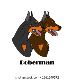 Perros Doberman cabeza por logotipo, mascotas para diseño, catálogo de raza en el espectáculo de perros, ilustración vectorial del logotipo de la perrera