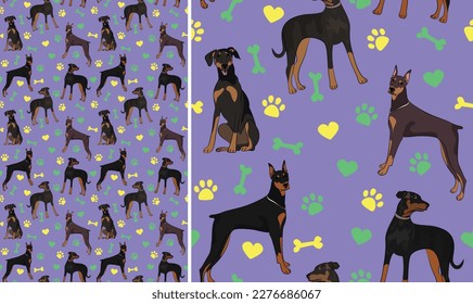 Doberman dogs on a playful violet background with bones, hearts, paws. Funky, colorful vibe, vibrant palette. Simple, clean, modern texture. Summer seamless pattern with dogs. Birthday present, card.