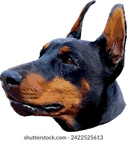 Doberman EPS Format Vector File 