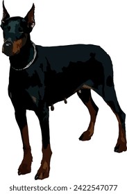 Doberman EPS Format Vector File