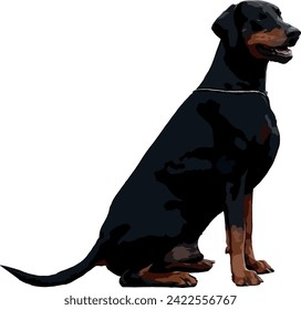 Doberman EPS Format Vector File