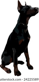 Doberman EPS Format Vector File