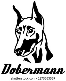 Doberman face with german word