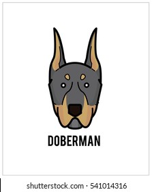 Doberman face isolated on white background