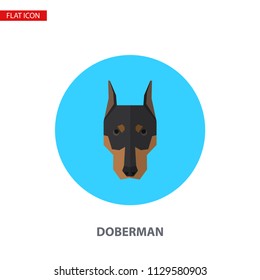 Doberman head vector flat icon on turquoise circular background. It can be used as - logo, pictogram, icon, infographic element.