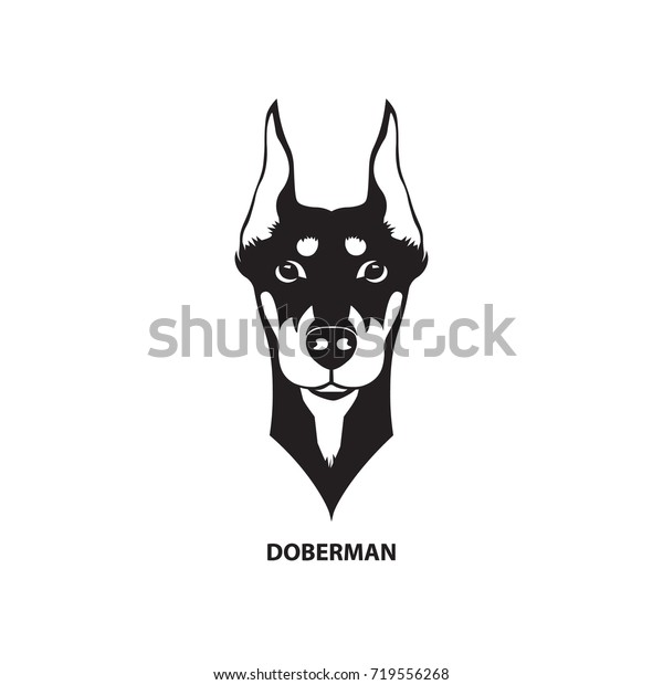 Doberman Head Vector Illustration Stock Vector (Royalty Free) 719556268