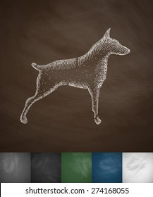 doberman icon. Hand drawn vector illustration. Chalkboard Design