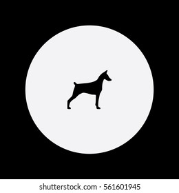 Doberman icon silhouette vector illustration