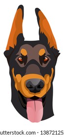 Doberman illustration vector on white background