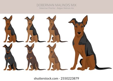 Doberman Malinois clipart. Belga Malinois Doberman Pinscher mix. Diferentes cores de casaco definido.  Ilustração vetorial