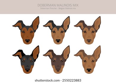 Doberman Malinois clipart. Belga Malinois Doberman Pinscher mix. Diferentes cores de casaco definido.  Ilustração vetorial