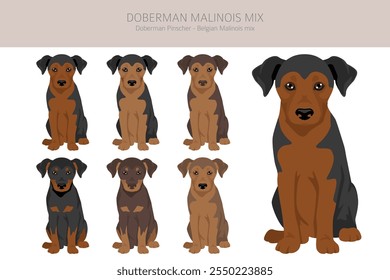 Doberman Malinois clipart. Belga Malinois Doberman Pinscher mix. Diferentes cores de casaco definido.  Ilustração vetorial