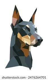 Doberman on a white background in illustrator not IA