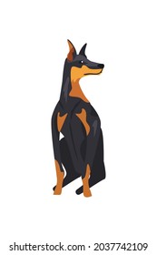 doberman pet seated animal character