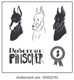  Doberman Pincher Dog icons set. All elements of composition located on separate layers and can be easy editable