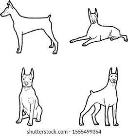 Doberman Pinscher Animal Vector Illustration Hand Drawn Cartoon Art