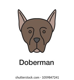 Doberman Pinscher color icon. Guardian dog breed. Isolated vector illustration