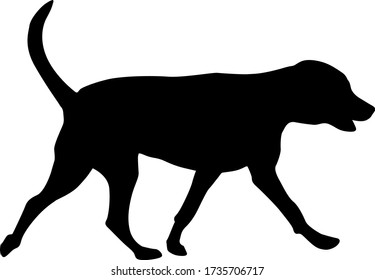 Doberman pinscher dog black silhouette on white background