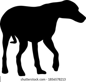 Doberman pinscher dog black silhouette on white background