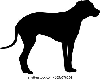 Doberman pinscher dog black silhouette on white background