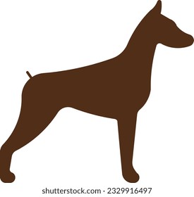 Doberman Pinscher Doberman dog breed Dobie Flat