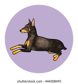 Doberman Pinscher dog breed. Outline with watercolor background. Vector illustration.