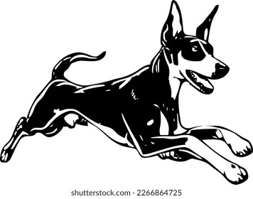 Doberman Pinscher, dog jump and happy, vector illustration, black color, vector image