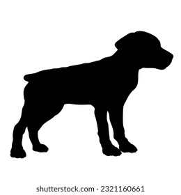 Doberman Pinscher Dog puppies silhouette. Baby dog silhouette. Puppy