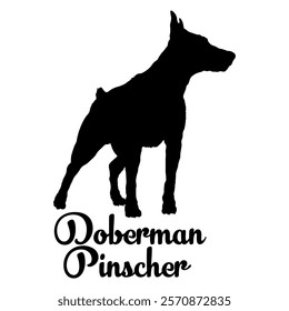 Doberman Pinscher. dog silhouette, dog breeds, logo, vector, silhouette,  animal, illustration, icon, sign, design, black, symbol, pet, love
