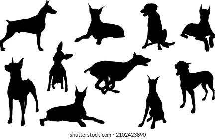Doberman Pinscher Dog Silhouette Bundle SVG