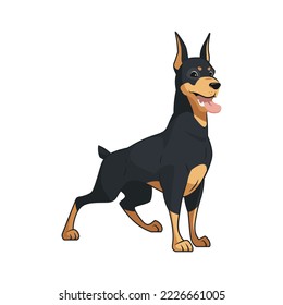 Doberman pinscher dog standing and smiling with tongue stick out, cute puppy, noble sweet adorable pet being a good boy, happy dog smile, cartoon style pedigree dog, lovely animal on white background