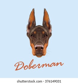 Doberman Pinscher dog. Vector illustrated portrait of red dog on blue background.