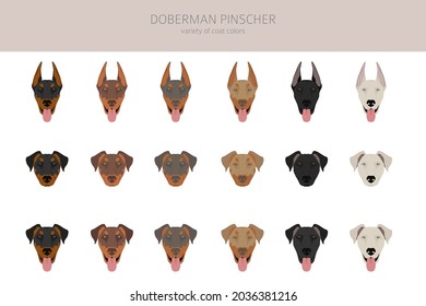 Doberman pinscher Hunde Clipkunst. Unterschiedliche Posen, Farben für die Fellfarbe.  Vektorgrafik