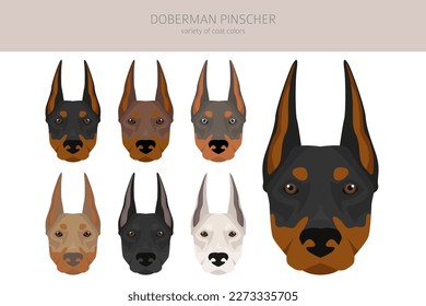 Doberman pinscher Hunde Clipkunst. Unterschiedliche Posen, Farben für die Fellfarbe.  Vektorgrafik