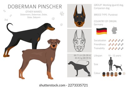 Doberman pinscher Hunde Clipkunst. Unterschiedliche Posen, Farben für die Fellfarbe.  Vektorgrafik