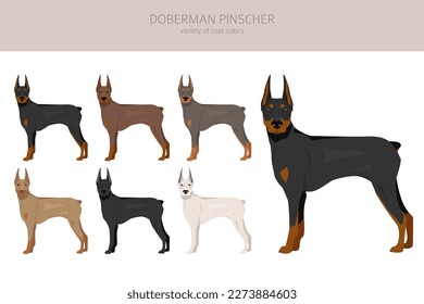 Doberman pinscher Hunde Clipkunst. Unterschiedliche Posen, Farben für die Fellfarbe.  Vektorgrafik