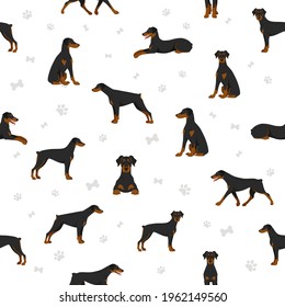 Doberman pinscher dogs seamless pattern. Different poses, coat colors set.  Vector illustration