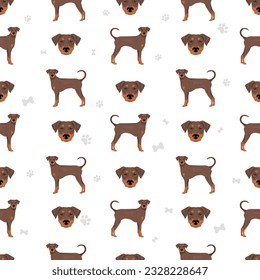 Doberman pinscher dogs seamless pattern. Different poses, coat colors set.  Vector illustration