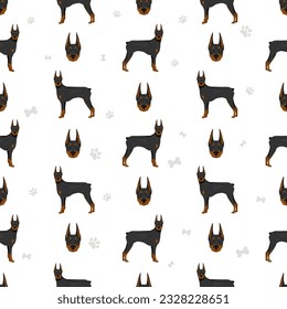 Doberman pinscher dogs seamless pattern. Different poses, coat colors set.  Vector illustration