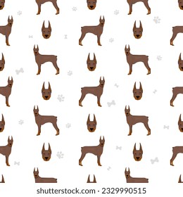 Doberman pinscher dogs seamless pattern. Different poses, coat colors set.  Vector illustration