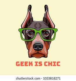 Doberman Pinscher Face in a geek glasses. Smart vector illustration isolated on white background