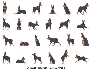 Doberman pinscher Symbole setzen Cartoon-Vektorgrafik. Wütender Tier. Kopfkaninchen