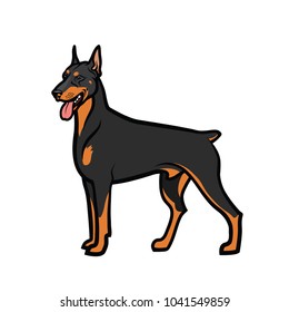 Doberman pinscher - isolated vector illustration