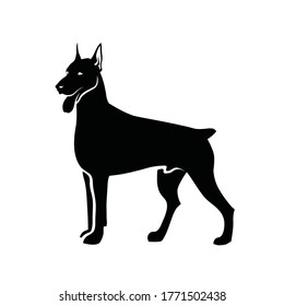Doberman pinscher - isolated vector illustration
