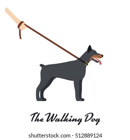 Doberman Pinscher with a leash - on white background. Vector illustration