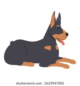 Doberman pinscher lying down with its tongue out resting and looking away